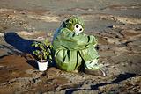 Man in chemical suit and houseplant in desert