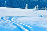 Ski trace on snow surface  and fir forest behind.