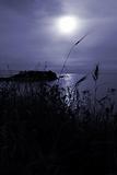 Tranquil  moonrise