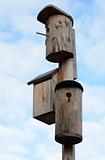 Three Starling-Houses
