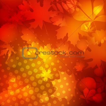 Soft warm dotted Autumn leaves