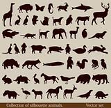 Set of diverse animal silhouettes. Vector