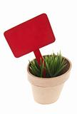 Pot of Grass with Vibrant Red Sign