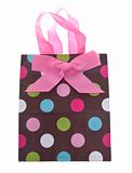 Colorful Gift or Shopping Bag