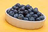Fresh Bowl of Blueberries