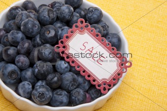 Fresh Bowl of Blueberries