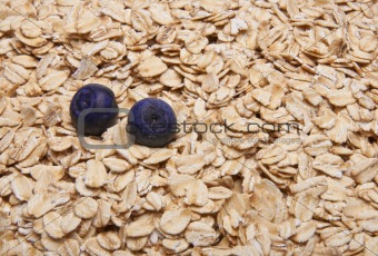 Fresh Whole Grain Oats and Blueberries Background.