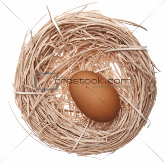 Nest with Brown Egg