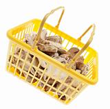 Basket of Fresh Mushrooms