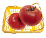 Basket of Fresh Tomatoes