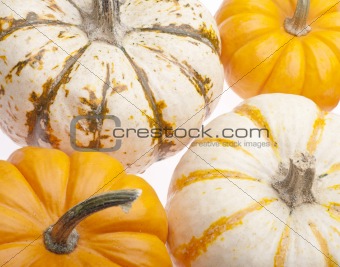 Festive Pumpkin Background
