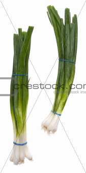 Fresh Green Onions 