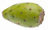 Cactaceous Fig Prickly Pear