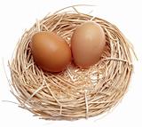 Brown Eggs in a Nest