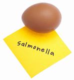 Salmonella on Eggs