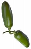 Pair of Jalapeno Peppers