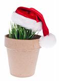 Give a Green Gift this Holiday Season
