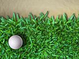 Golf Ball on Green Grass