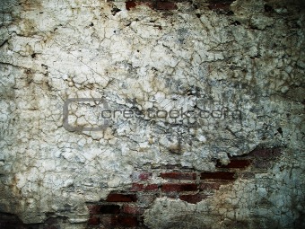 the cracks of the brick walls