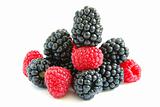 raspberry and blackberry 