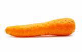  carrot 