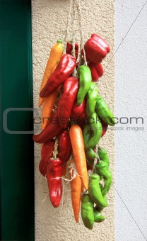Colourful chillies