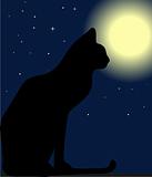 Cat at night and moon. Vector