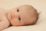 Two month old cute baby girl portrait