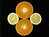 orange,citron,lemon