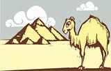 Camel Pyramid