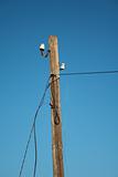 Old broken wooden power line pole