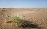 Desert dunes in iran