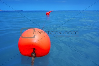 red buoy row floating blue sea with rope closeup