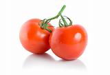 Two ripe tomatoes isolated(6).jpg
