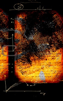 Human fingerprint 