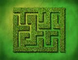 green grass maze