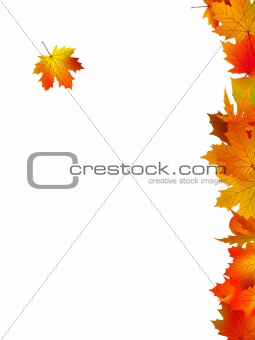 Thank You Card With A Leaves Background
