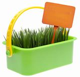 Basket of Grass with Vibrant Orange Blank Sign