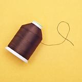 Simple Brown Thread on Yellow
