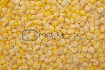 Frozen Corn Background