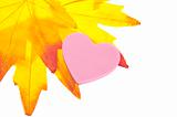 Vibrant Fall Leaf Background with Heart