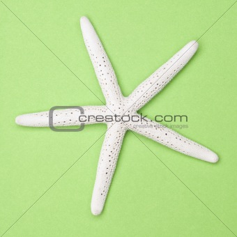 White Starfish on a Vibrant Green Background.