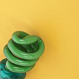 Green Energy Saving Light Bulb on a Vibrant Background