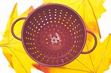 Red Colander on Vibrant Fall Leaves