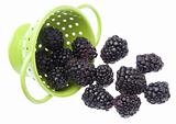 Fresh Healthy Blackberries