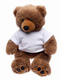 Teddy Bear in a Tee Shirt