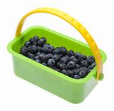 Fresh Blueberries in a Bright Green Basket