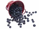 Fresh Blueberries in a Bright Red Colander