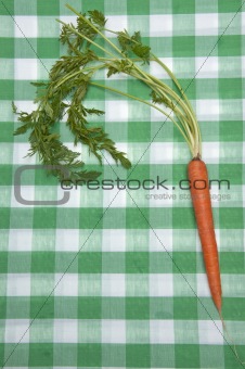 Carrot Picnic