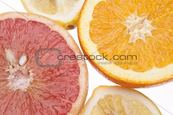 Group of Citrus